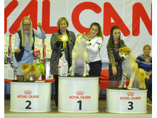 DSC 0261005��.jpg