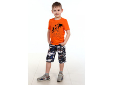 No�35 ������