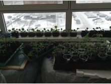 �� ������ ������� �������� � �������� ���  ��. � �� ����� ���������� ����...