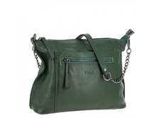 5061 green ���� 2595 ��.jpg