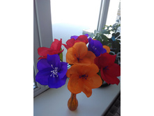 ����� �� �������� ������