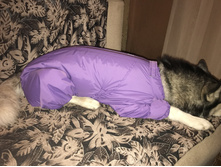 ����� ��������.JPG