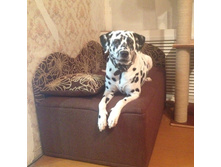 4500� -- ����� "��������"