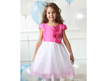 �������� ������ ������, ��� D510, ���� 1527 �.jpg