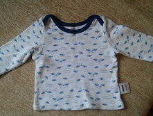 Modis, �-� 80-86