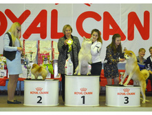 DSC 0264005��.jpg