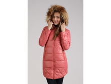 Img2333-b4215625f5 w131 h197.jpg