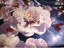 �������� ������ 220 �� ������