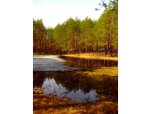 IMG 20170426 110037.jpg