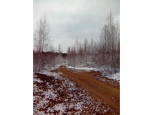 IMG 20170415 114450.jpg