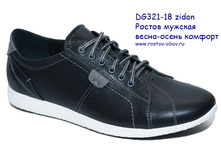 DG 321-18 zidan.jpg