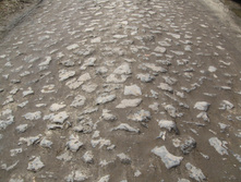 ��������� �������� ��������, ������������ �� ������ ������ � ������