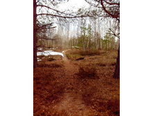 IMG 20170408 132357.jpg