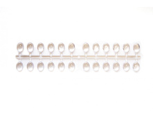 122 ���. - ������� "������� ����" �� 24 �����