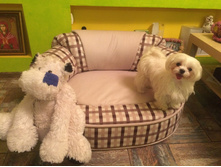 4125 ��� - �������� "�������"