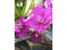 IMG 20170401 100524.jpg