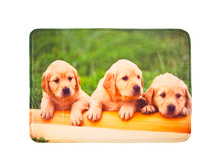 302 ���. - VETTA ������ ��� ������ ����, �����, �������������� ���� 1,2��, 40x60��, "������"