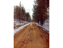 IMG 20170415 141657.jpg