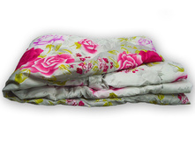 ������ 2,0 �� "������� ���" 300 ��/� ���� 1 120,00 ���.