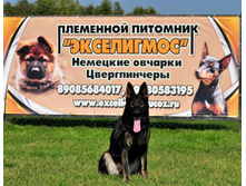 Troja banner.jpg