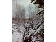 IMG 20170415 113740.jpg