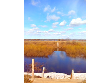 IMG 20170409 140536.jpg