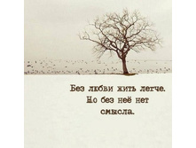 17862521 734393436764079 8720591312948249313 n.jpg