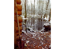 IMG 20170415 115635.jpg