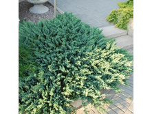 ������������ �������������� ��� ��� (�9).jpg