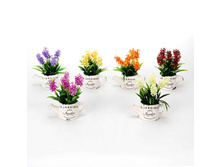 176 ���. - ����� � ������, ��������, �������, 17�12�6,5��, 5 ������, ���.12-01