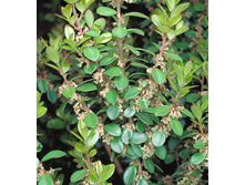 �������+/