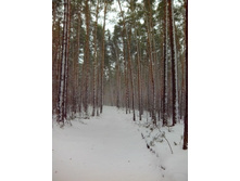 IMG 20170420 120351.jpg