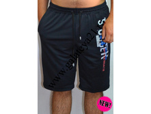 C-516 �����