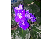 20170414 181534.jpg