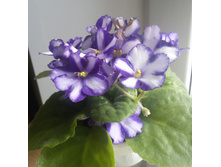 20170422 085529-2.jpg