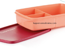 ��������� � ������������� ������������� 24�15, 5�5�� - 650 ���