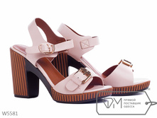 ��������� w5581