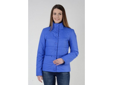 63384 vasilek 1 w280px.jpg