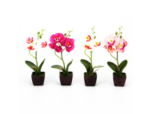 104 ���. - ����� � ������ "� ���� �������", ��������, �������, 21�8�5��, 4 �����, ���.12-07