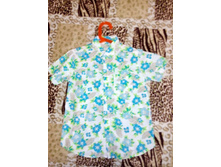 IMG 20170412 123220.jpg