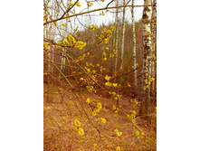 IMG 20170422 150332.jpg