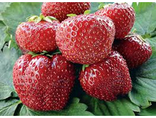 �������� ���� ����� ���� 35 ���. ���������� ������ 3 ��