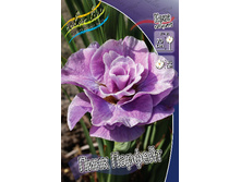 78,8���. ���� ��������� ���� �������(�������� ���� �� 2 ��., ����������� ����� 1��.).jpg