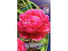 163,6���. ���� �. �������(���������� ������ ������ ���������� �� 1 ��.).jpg