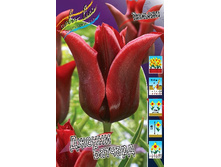 12,48���. ������� ������ �������(���������� ������ ������ ���������� �� 10 ��.)���16.jpg