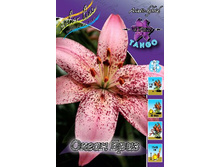 29,82���. ����� ����� ����(�������� ���� �� 5 ��., ����������� ����� 3��.).jpg