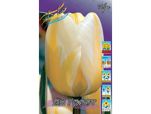 11���. ������� �� �����(���������� ������ ������ ���������� �� 10 ��.).jpg