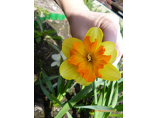 ���������