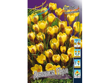 10,26���. ������ ������ ��� (����.)(���������� ������ ������ ���������� �� 10 ��.).jpg