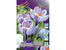 6,54���. ������ ������� �����(���������� ������ ������ ���������� �� 10 ��.).jpg